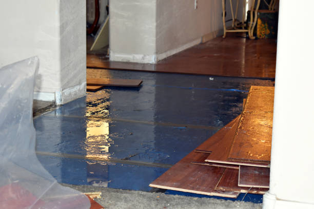 Professional Water Damage Restoration technician working in Dania, FL